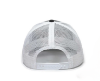 Picture of Radius Trucker Hat